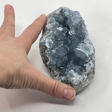 Load image into Gallery viewer, Celestite Cluster (Large)
