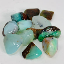 Load image into Gallery viewer, Chrysoprase (from Australia) - Tumbled
